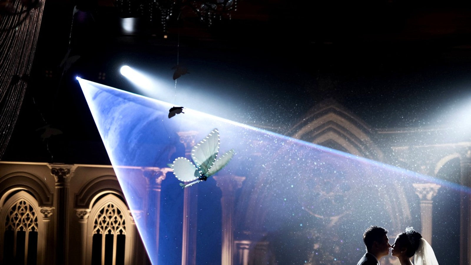 Flying butterfly show creating an aerial visual moment inside an event venue