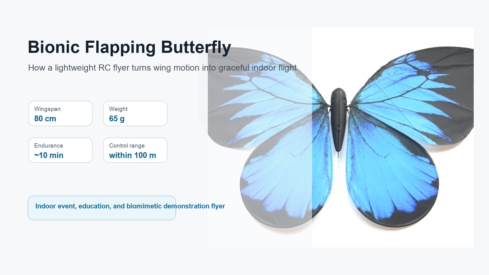 How a Flapping Butterfly Flyer Works: Principle, Design, and Applications