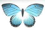 Bionic butterfly RC flyer - 12