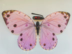 Bionic butterfly RC flyer - 24