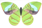 Bionic butterfly RC flyer - 22