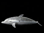Silver dolphin blimp product view