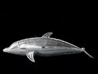 Silver bionic dolphin inflatable blimp