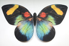 Bionic butterfly RC flyer - 13