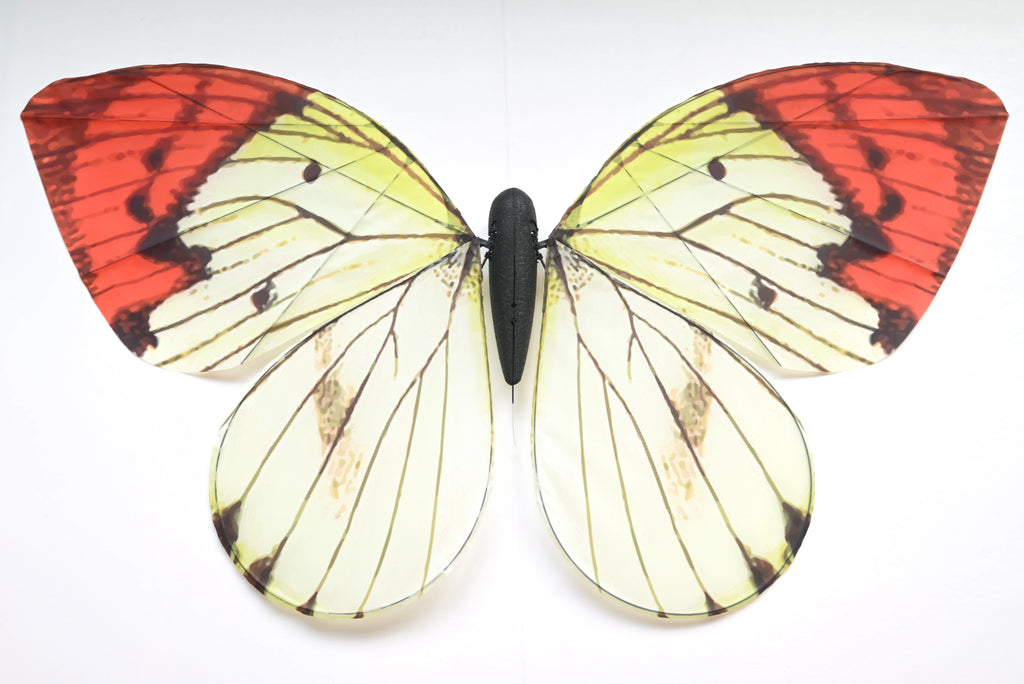 Bionic butterfly RC flyer - 08