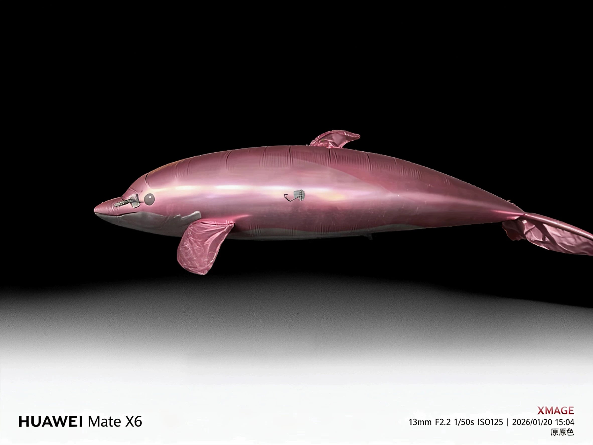 Pink dolphin blimp product view