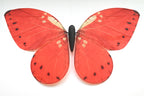Bionic butterfly RC flyer - 21