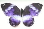 Bionic butterfly RC flyer - 23